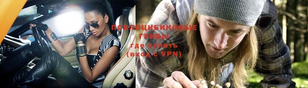 дживик Арсеньев