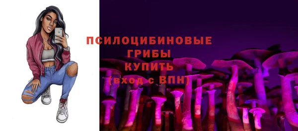 PSILOCYBIN Аркадак