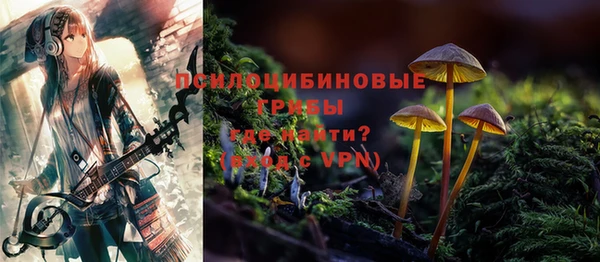 мдпв Осташков