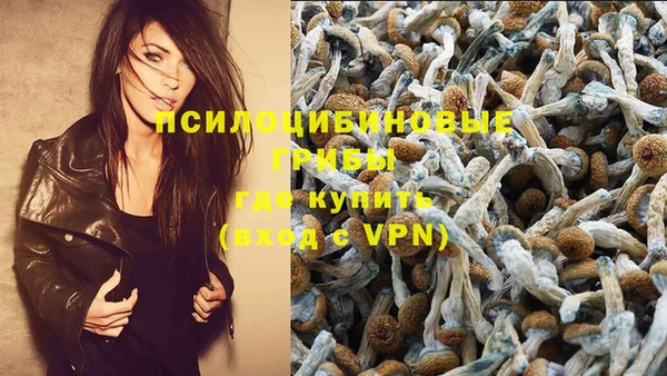 PSILOCYBIN Аркадак