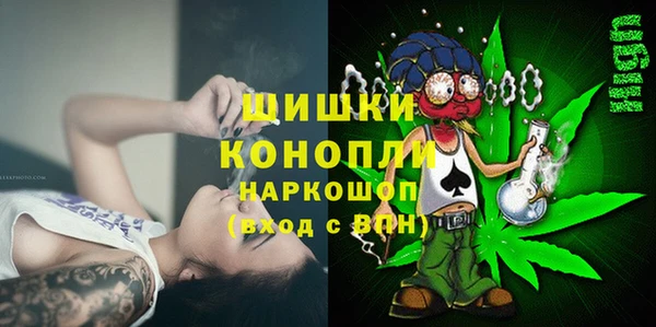 PSILOCYBIN Аркадак