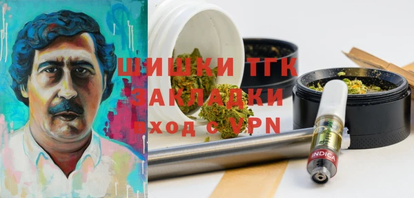 PSILOCYBIN Аркадак