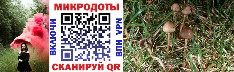 Галлюциногенные грибы прущие грибы  Белый 